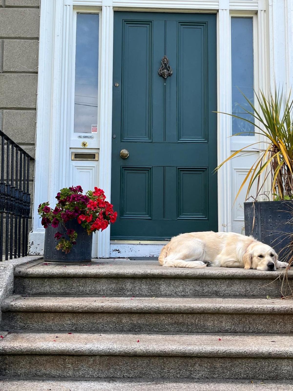 Dun Laoghaire Coastal Retreat & Hidden Getaway